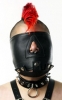 Chin Hood