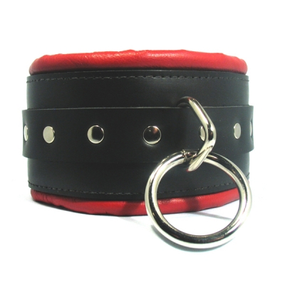 Masters Series Collar bondage ASLAN Leather