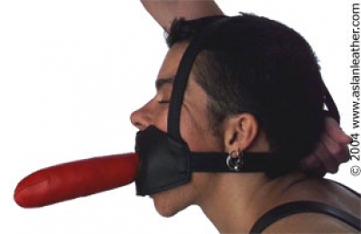 ASLAN leather chin up dildo harness