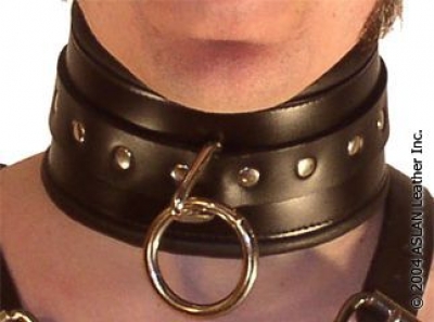 Padded Collar bondage by ASLAN Leather