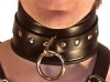 Padded Collar